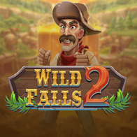 Wild Falls 2 game icon